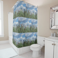 Salt Water Marsh