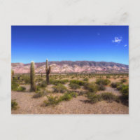 Salta Argentina Cactus Plants And Barren Hill