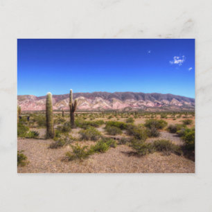 Salta Argentina Cactus Plants And Barren Hill Postcard