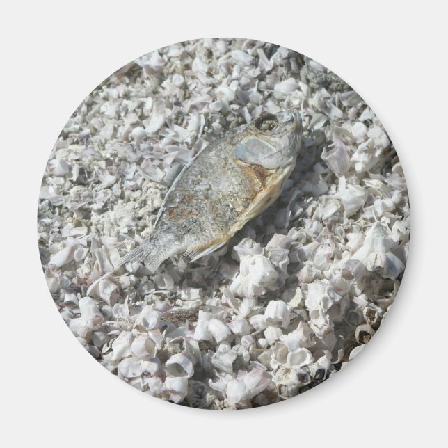 Salton Sea Magnet (Front)