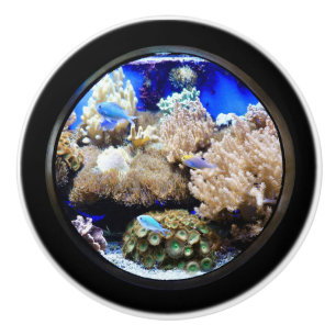 Saltwater aquarium ceramic knob