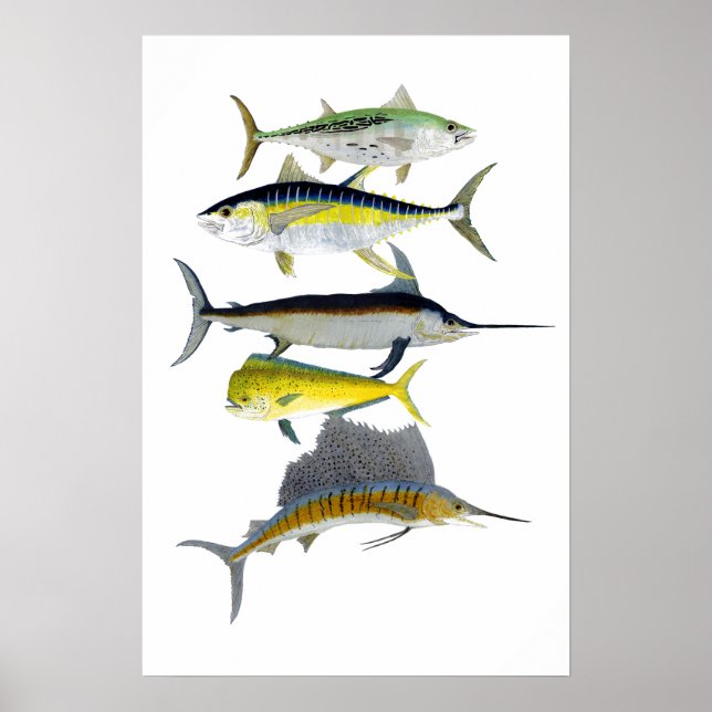 Saltwater Gamefish Art Poster (Front)