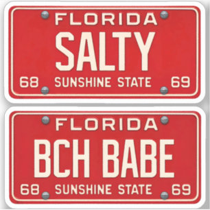 Salty Beach Babe   Retro Florida License Plate 2pc