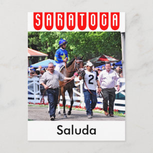 Saluda, 2 year old filly by Congaree Postcard