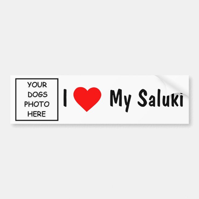 Saluki Bumper Sticker (Front)