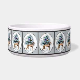 Saluki Christmas 