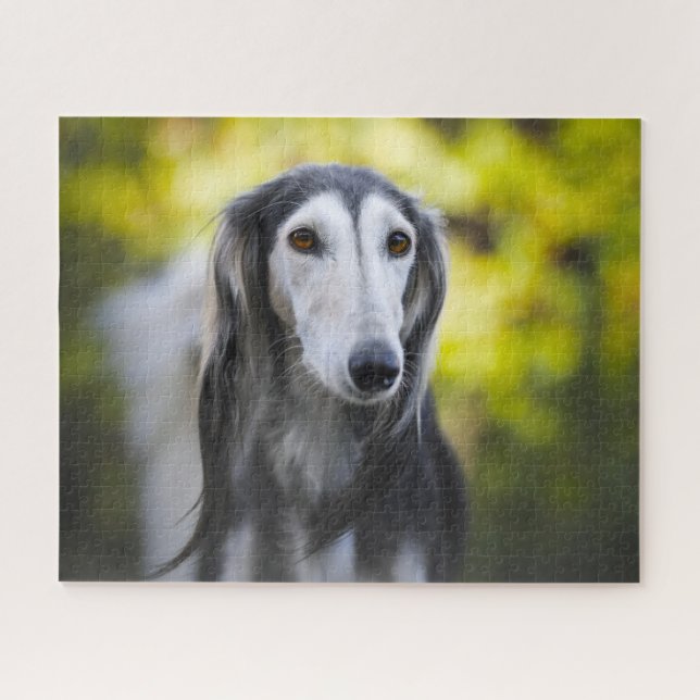 Saluki Dog Jigsaws. Jigsaw Puzzle (Horizontal)