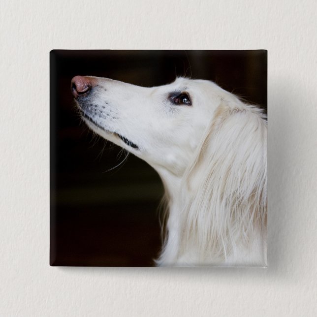 Saluki Looking Up 15 Cm Square Badge (Front)