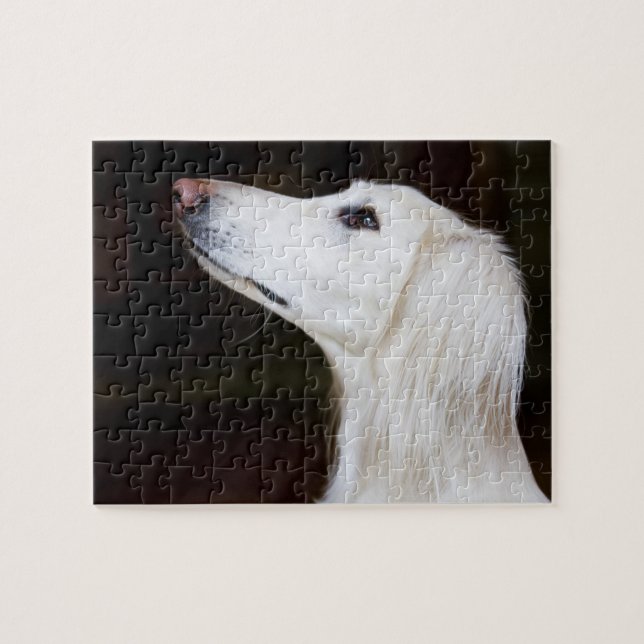 Saluki Looking Up Jigsaw Puzzle (Horizontal)
