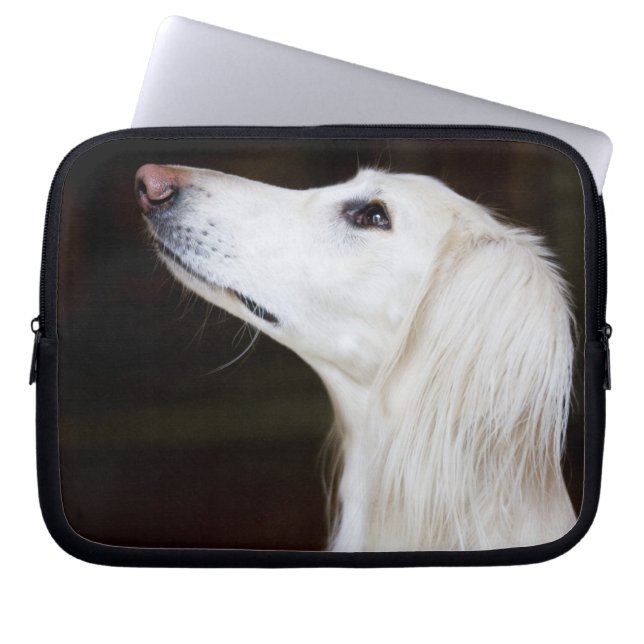 Saluki Looking Up Laptop Sleeve (Front)