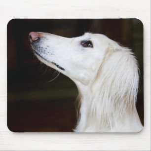 Saluki Looking Up Mouse Pad