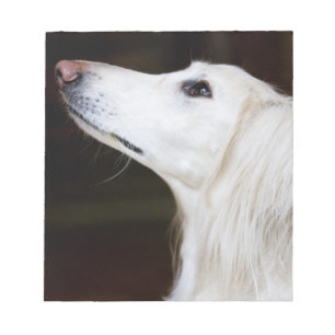 Saluki Looking Up Notepad