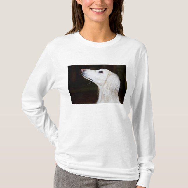 Saluki Looking Up T-Shirt (Front)