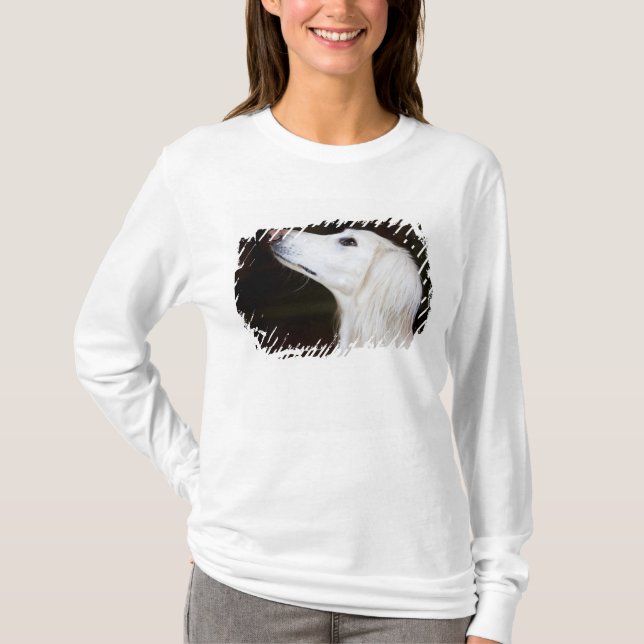 Saluki Looking Up T-Shirt (Front)