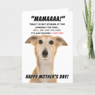 Saluki Mothers day wishes Thank You Card