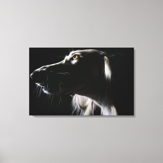 Saluki, portrait canvas print (Front)