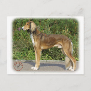 Saluki Postcard