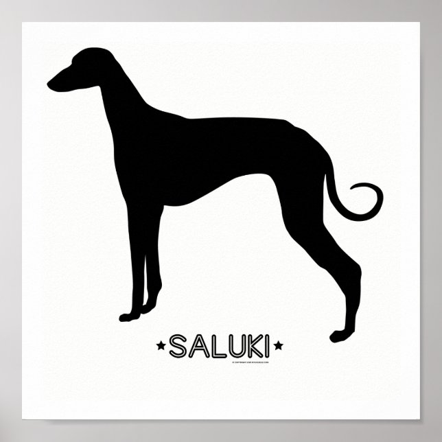 Saluki Print (Front)