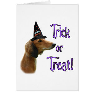 Saluki Trick
