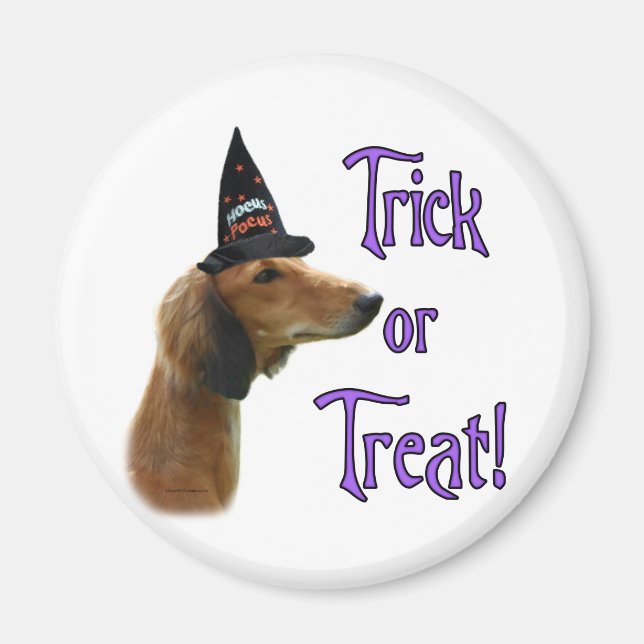 Saluki Trick Magnet (Front)