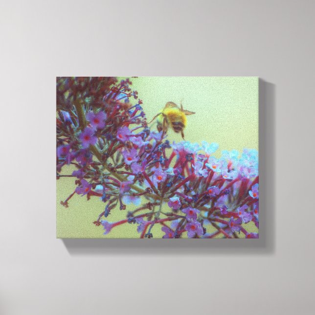 Salutations Canvas Print (Front)