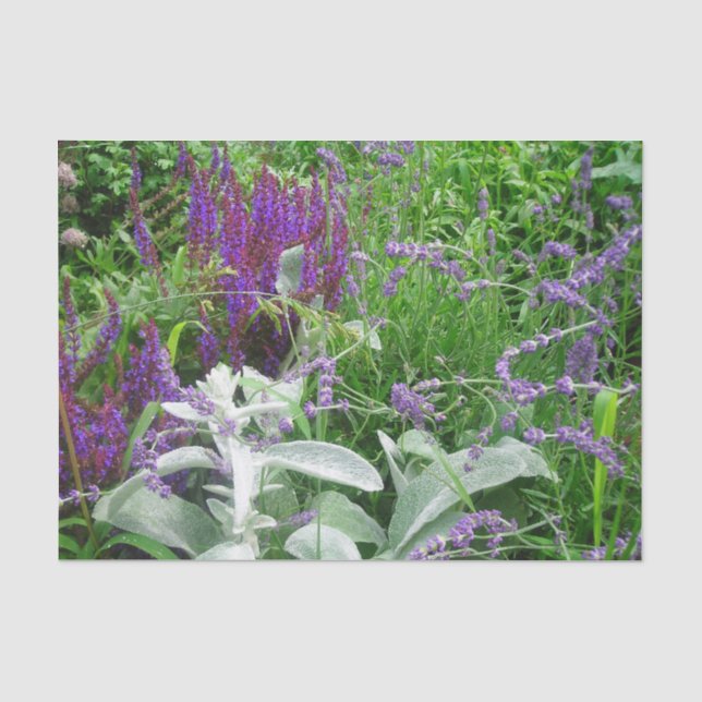 Salvia Lambs ear and Lavender  Tissue Paper (Front)