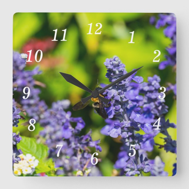 Salvia With Bumblebee Wall Clock (Front)