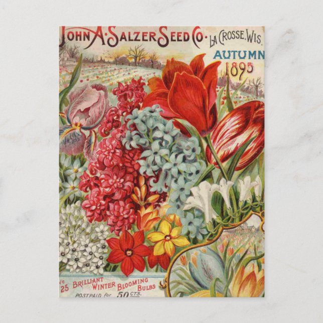 Salzer Flower Seeds Postcard (Front)