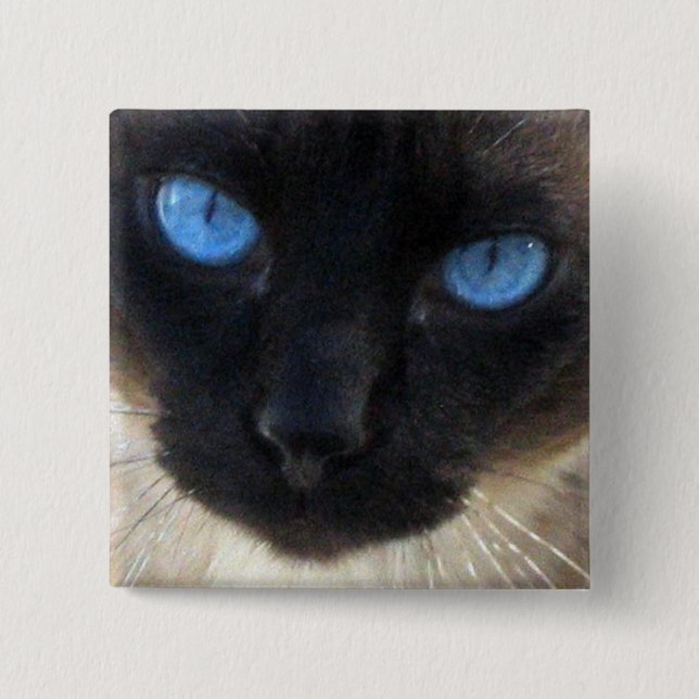 Sam the Siamese cat 15 Cm Square Badge (Front)