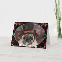Sam xmas, Bah Hum-Pug