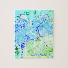 Samandra Montecristo Fresh Women's Club 