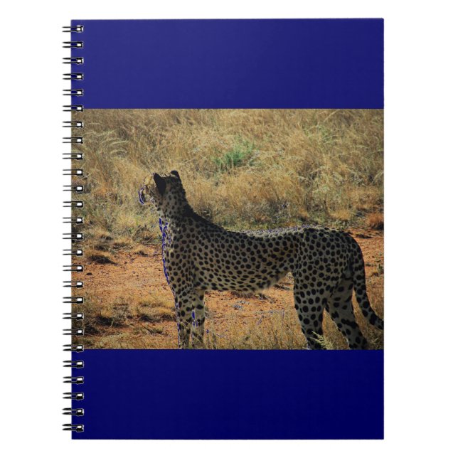 Samburu Cheetah Spiral Notebook (Front)