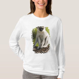 Samburu Game Reserve, Kenya, Vervet Monkey, T-Shirt