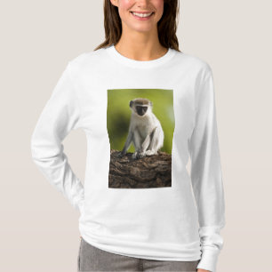 Samburu Game Reserve, Kenya, Vervet Monkey, T-Shirt