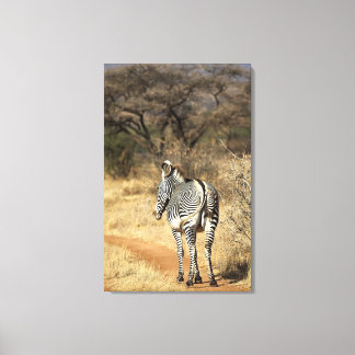 Samburu National Reserve, Kenya Canvas Print