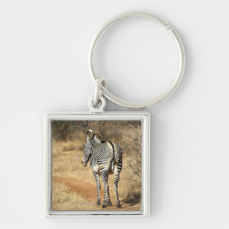 Samburu National Reserve, Kenya Key Ring