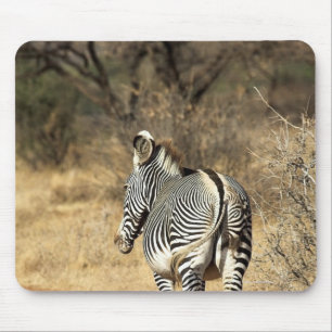 Samburu National Reserve, Kenya Mouse Pad