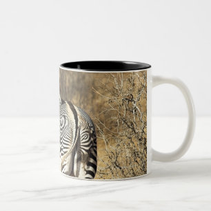 Samburu National Reserve, Kenya Two-Tone Coffee Mug