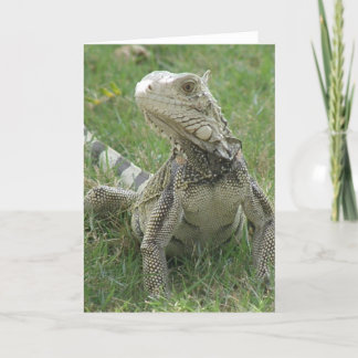 Same Greeting Card