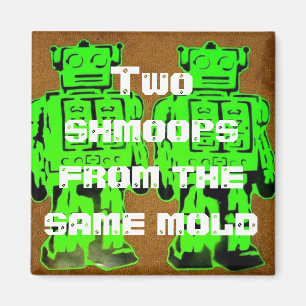 Same mould magnet