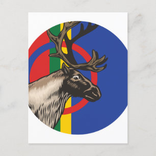 Sami Reindeer Saami National Animal Flag Postcard