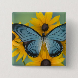 Sammamish Washington Photograph of Butterfly 15 Cm Square Badge