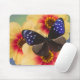 Sammamish Washington Photograph of Butterfly 40 Mouse Pad (With Mouse)