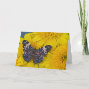 Sammamish Washington Photograph of Butterfly 43 Card