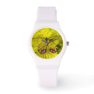 Sammamish Washington Photograph of Butterfly on 8 Watch