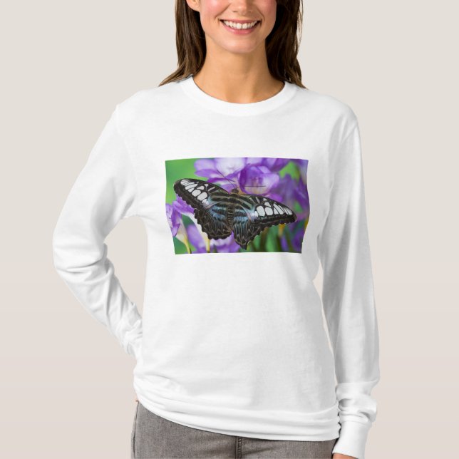 Sammamish, Washington Tropical Butterfly 21 T-Shirt (Front)