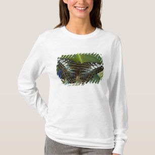 Sammamish, Washington Tropical Butterfly 22 T-Shirt