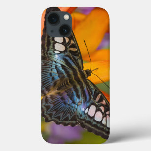 Sammamish, Washington Tropical Butterfly 24 iPhone 13 Case