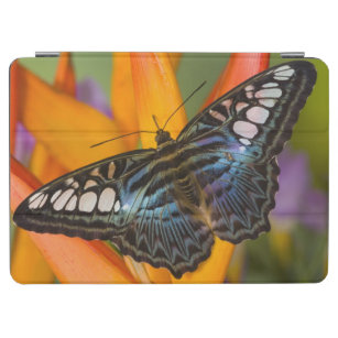 Sammamish, Washington Tropical Butterfly 24 iPad Air Cover