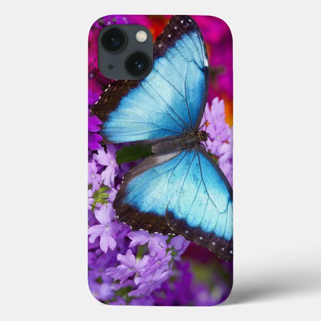 Sammamish Washington Tropical Butterfly 7 Case-Mate iPhone Case (Back)